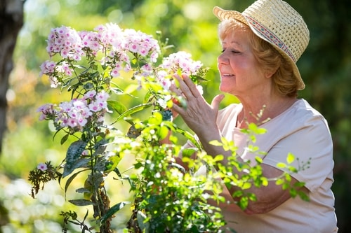 Memory Care: Olfactory-evoked Recall - the Connection Between Scent and Memory